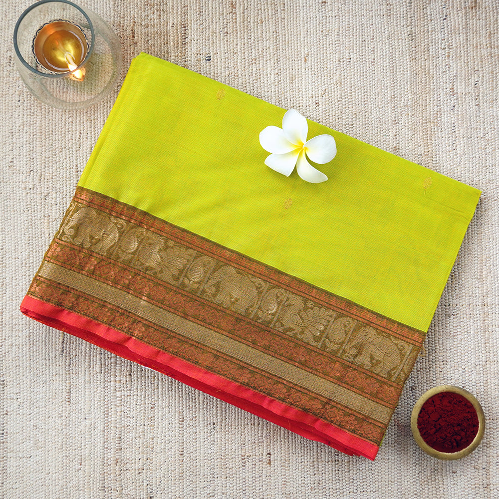 Handwoven chartreuse green saree featuring a beautifully elaborative traditional border in brown