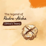 Panchamukhi Rudraksha - 5mm