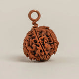 Energized Isha Gauri-Shankar Rudraksha