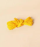 Sannidhi Sutra (small)