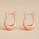 Adiyogi Copper Earring