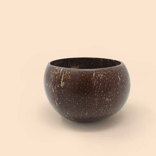 Coco Shell Small Bowl