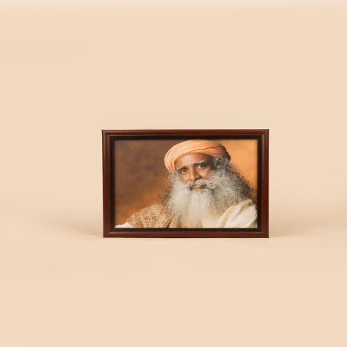 Sadhguru Photo SD6