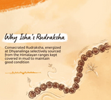 Rudraksha Panchamukhi Mala Bead size-7mm
