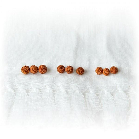 Rudraksha replacement beads